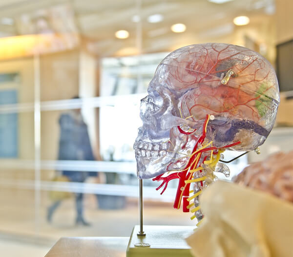 CONSULTA NEUROLOGICA ONLINE